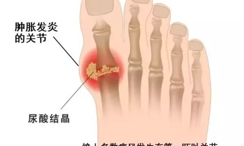 自述有精神病史的人救助站可以买票让其自行离站吗-精神病人求助站网 - 网站提供精神病人求助站在哪里小常识、精神病人求助站在哪里