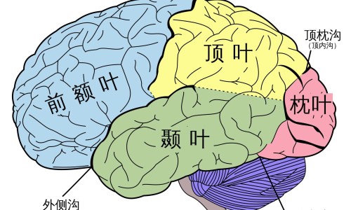 精神病人求助站网 - 网站提供精神病人求助站在哪里小常识、精神病人求助站在哪里